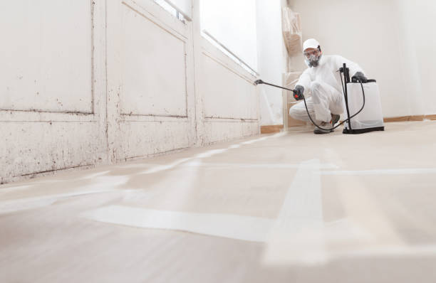 24/7 Emergency Attic Mold Removal experts in Martinsburg, PA