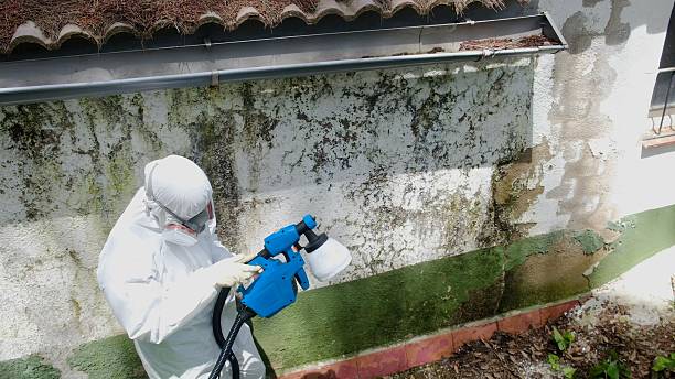 Top rated local Attic Mold Removal specialists in Martinsburg, PA